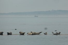 Hoi zeil- en natuurliefhebbers!