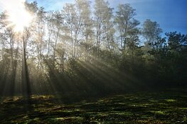 Start lente met zonovergoten weer