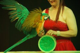 Circus Bolalou komt 2 weken naar Roermond