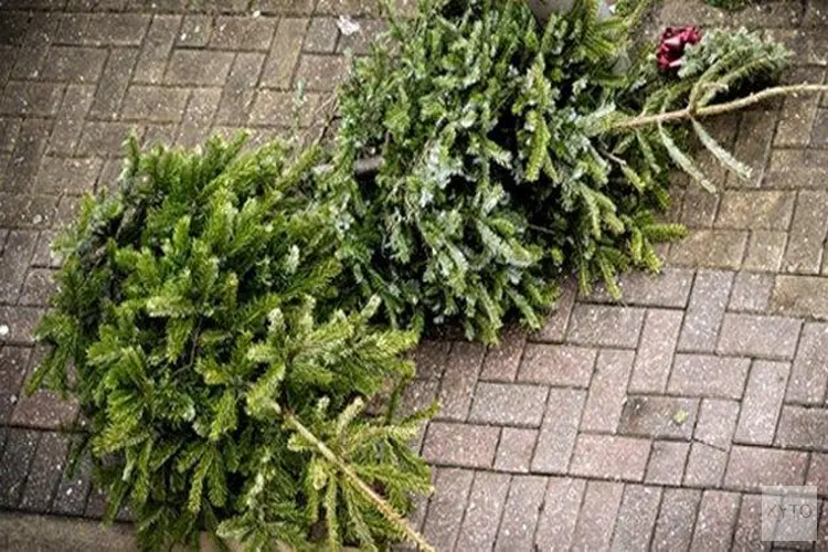Inzameling kerstbomen