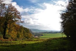 Ver­der met ver­rij­king van het Lim­burg­se land­schap met oude ele­men­ten en voed­sel­bos­sen