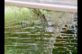 Limburgers tonen bewustzijn rond wateroverlast en bereidheid om zich voor te bereiden