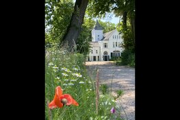 Brocante op Landgoed Frymerson – 16 & 17 mei 2026