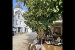 Brocante & Landelijk op Kasteel Frymerson