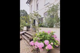 Brocante & Landelijk op Kasteel Frymerson