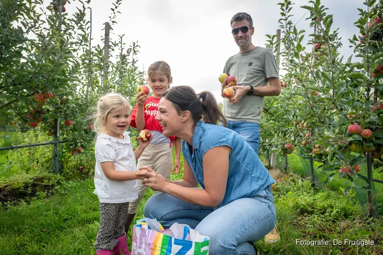 Limburgse fruittelers openen hun boomgaard: geniet van de oogst van dichtbij