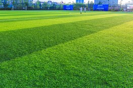 Informatie kennisdag KNVB innovatieplatform Gras in Helmond